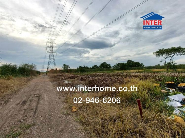 ไม่ใช่ ที่ดินเปล่า 200 ตร.ว. ที่ดิน ซอยบงกซ95 ใกล้ตลาดทำเลทอง ถนนคลองสอง-คลองหลวง ถนนซอยรังสิต-นครนายก31 คลองหลวง ปทุมธานี รูปที่ 3