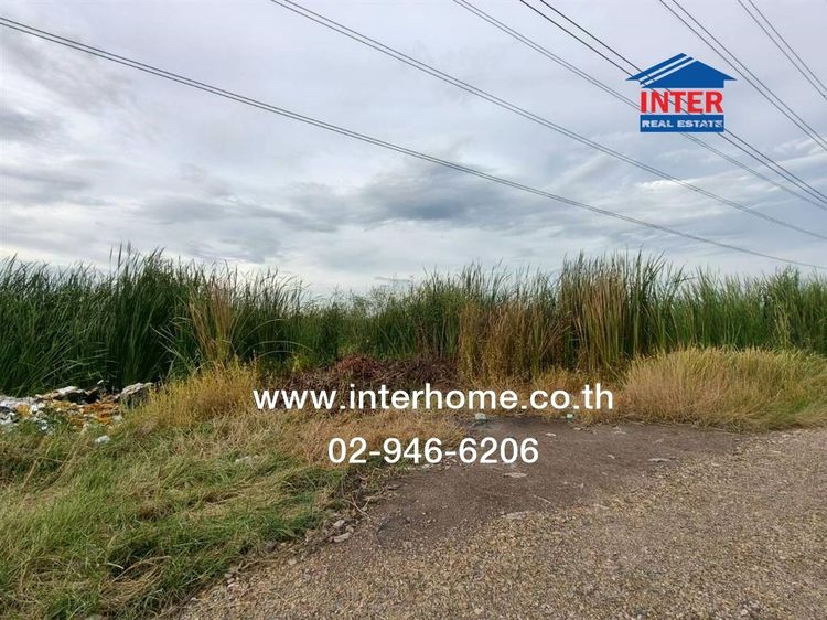 ไม่ใช่ ที่ดินเปล่า 200 ตร.ว. ที่ดิน ซอยบงกซ95 ใกล้ตลาดทำเลทอง ถนนคลองสอง-คลองหลวง ถนนซอยรังสิต-นครนายก31 คลองหลวง ปทุมธานี รูปที่ 4