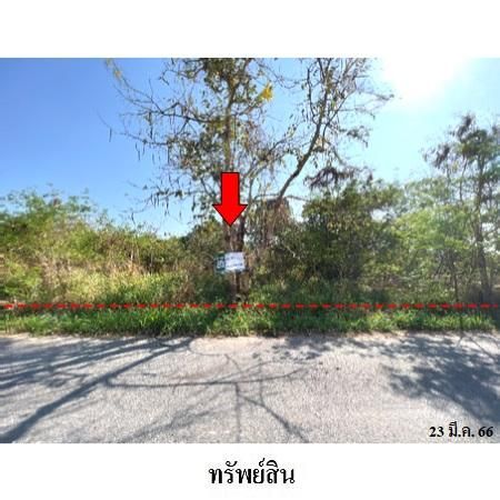 ทรัพย์ บสส. รหัส 3A1538 ที่ดินเปล่า  ชลบุรี 11672400 รูปที่ 2