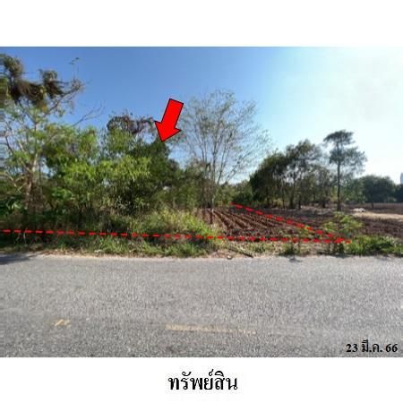 ทรัพย์ บสส. รหัส 3A1538 ที่ดินเปล่า  ชลบุรี 11672400 รูปที่ 4