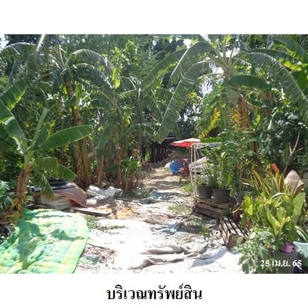 ทรัพย์ บสส. รหัส 2T2632 ที่ดินเปล่า นนทบุรี 8134700 รูปที่ 3