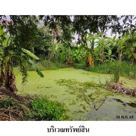 ทรัพย์ บสส. รหัส 2T2632 ที่ดินเปล่า  นนทบุรี 8134700 รูปที่ 4