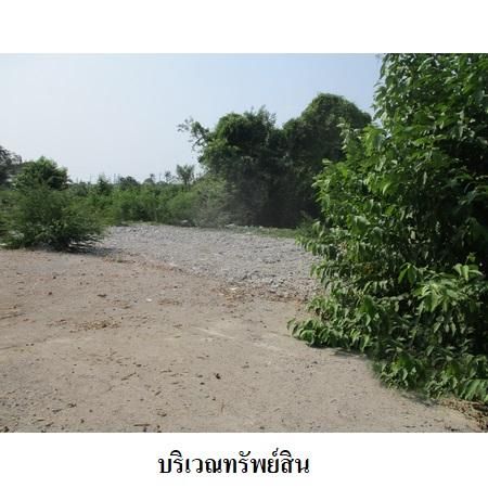 ทรัพย์ บสส. รหัส 8Z4670 ที่ดินเปล่า  นนทบุรี 18106600 รูปที่ 4