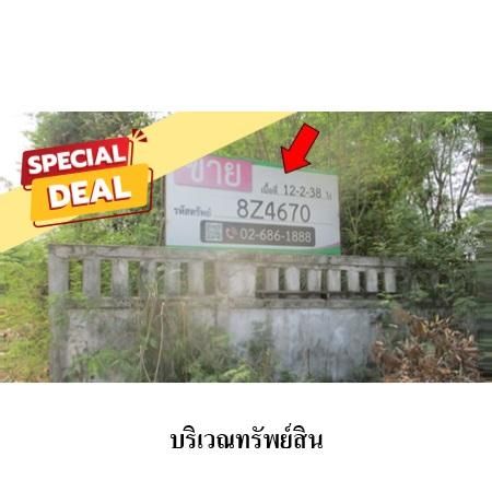 ทรัพย์ บสส. รหัส 8Z4670 ที่ดินเปล่า  นนทบุรี 18106600