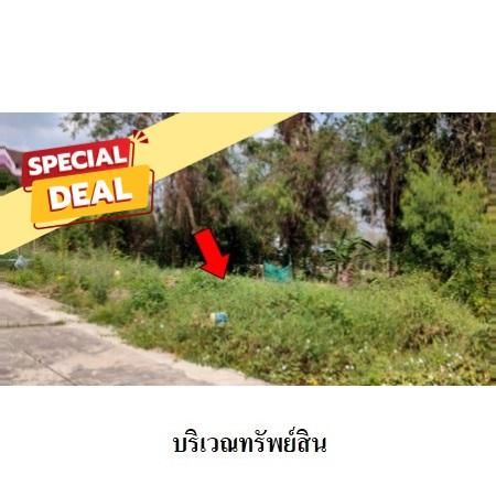 ทรัพย์ บสส. รหัส 8Z4747 ที่ดินเปล่า  นนทบุรี 2241600