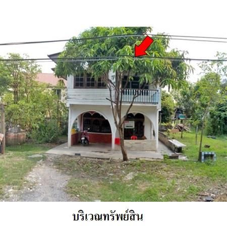 ทรัพย์ บสส. รหัส 8Z7106 บ้านเดี่ยว  ปทุมธานี 2251700