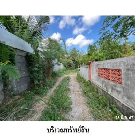 ทรัพย์ บสส. รหัส 3A1875 บ้านเดี่ยว ระยอง 2657600 รูปที่ 3