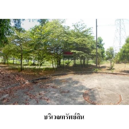 ทรัพย์ บสส. รหัส 1T0246 ที่ดินเปล่า  กรุงเทพมหานคร 8427500