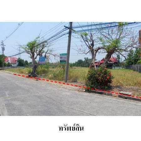 ทรัพย์ บสส. รหัส 1T0842 ที่ดินเปล่า  กรุงเทพมหานคร 10983000