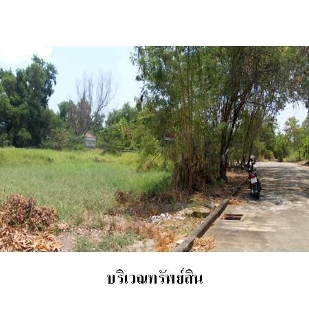 ทรัพย์ บสส. รหัส 1T1826 ที่ดินเปล่า  กรุงเทพมหานคร 14666000