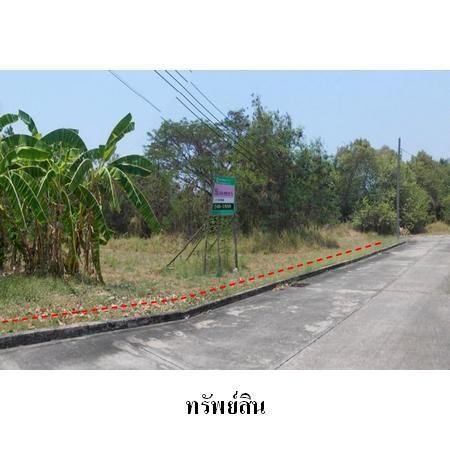 ทรัพย์ บสส. รหัส 1T2490 ที่ดินเปล่า  กรุงเทพมหานคร 11615200