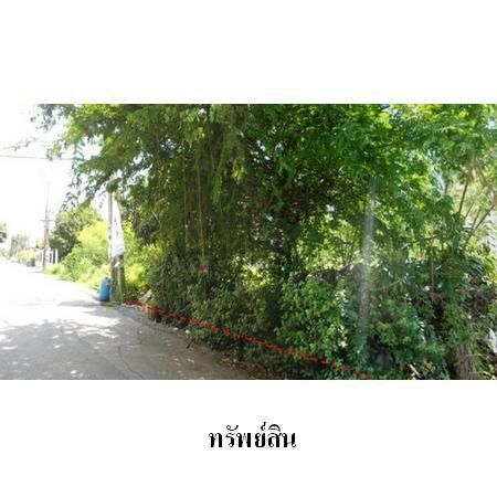 ทรัพย์ บสส. รหัส 8Z3918 ที่ดินเปล่า  กรุงเทพมหานคร 2863000 รูปที่ 4
