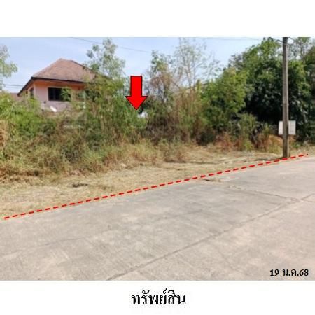 ทรัพย์ บสส. รหัส 1A0074 ที่ดินเปล่า  ปทุมธานี 5201000 รูปที่ 4