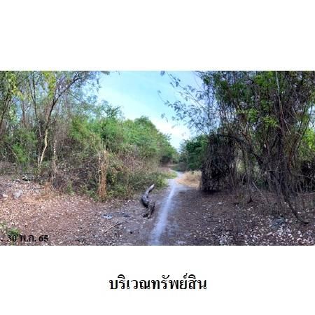 ทรัพย์ บสส. รหัส 1T2428 ที่ดินเปล่า  ปทุมธานี 285766400 รูปที่ 3