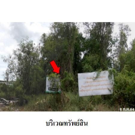 ทรัพย์ บสส. รหัส 1T2829 ที่ดินเปล่า  ปทุมธานี 7308700 รูปที่ 4