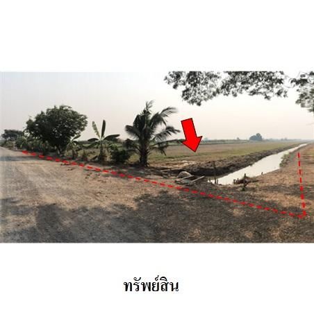 ทรัพย์ บสส. รหัส 3A0273 ที่ดินเปล่า  ปทุมธานี 24167200 รูปที่ 4