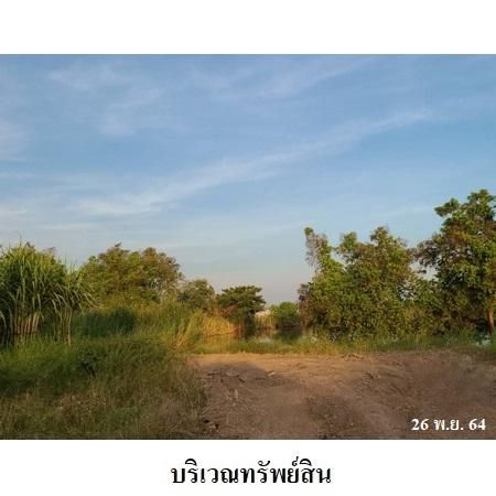 ทรัพย์ บสส. รหัส 3A0273 ที่ดินเปล่า  ปทุมธานี 24167200 รูปที่ 3