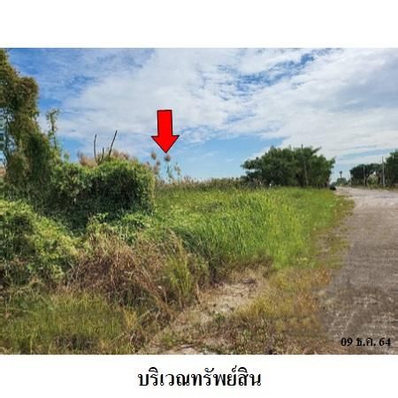 ทรัพย์ บสส. รหัส 3A1048 ที่ดินเปล่า  ปทุมธานี 2593000 รูปที่ 4
