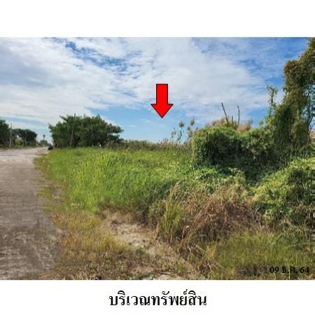 ทรัพย์ บสส. รหัส 3A1048 ที่ดินเปล่า  ปทุมธานี 2593000 รูปที่ 3