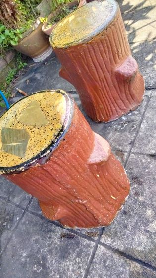 ปูนนั่งลายต้นไม้ รูปที่ 3