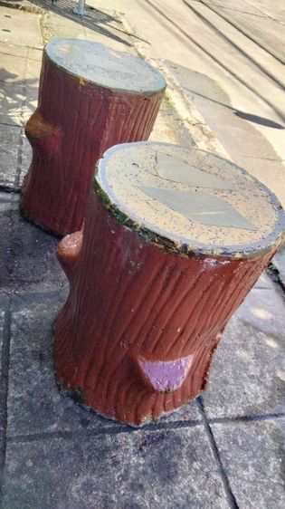 ปูนนั่งลายต้นไม้ รูปที่ 4