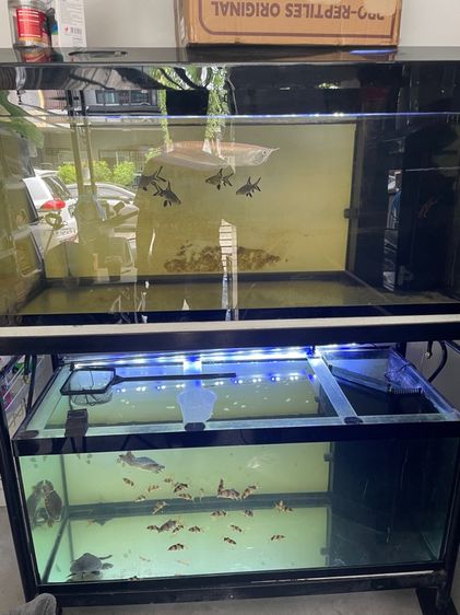 อุปกรณ์ตู้ปลา ตู้ปลา48นิ้ว