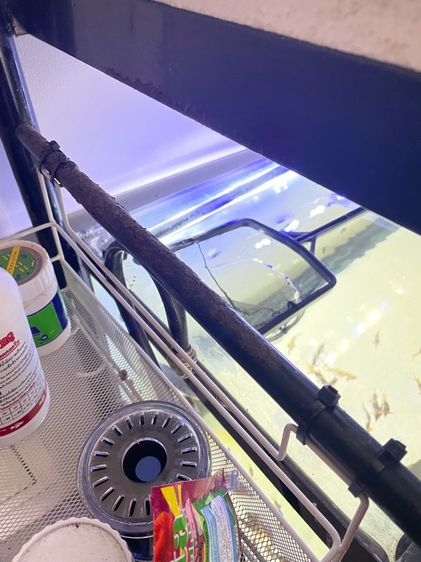 ตู้ปลา48นิ้ว รูปที่ 4