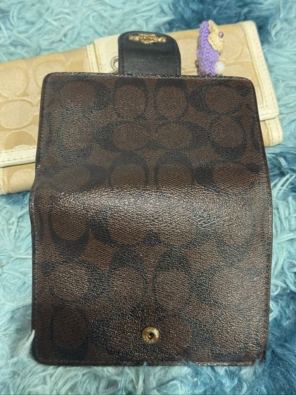 กระเป๋าตัง รูปที่ 2