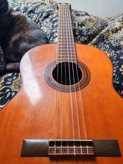 Yamaha​ G-85A ป้ายทอง​ ปี1970 ของสะสม​ รูปที่ 3