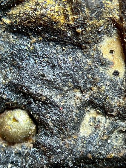 พระหลวงปู่ทวด พิมพ์กลักไม้ขีด เนื้อวัว 108 พิมพ์ สองหน้า (032) รูปที่ 7