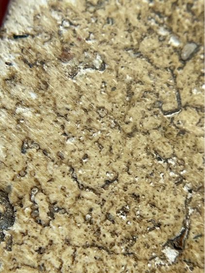 พระสมเด็จวัดระฆังพิมพ์ใหญ่กรอบกระจกเนื้อหาเก่าสวยเห็นมวลสารชัดเจน(029) รูปที่ 13