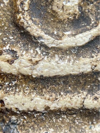 พระสมเด็จวัดระฆังพิมพ์ใหญ่กรอบกระจกเนื้อหาเก่าสวยเห็นมวลสารชัดเจน(029) รูปที่ 9