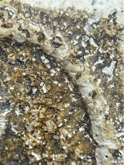 พระสมเด็จวัดระฆังพิมพ์ใหญ่กรอบกระจกเนื้อหาเก่าสวยเห็นมวลสารชัดเจน(029) รูปที่ 11