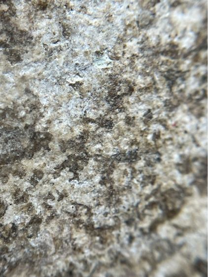 พระสมเด็จวัดระฆังพิมพ์ใหญ่ตัดขอบชิดมีคราบกรุเก่าติดรอบองค์สวยงาม(033) รูปที่ 9