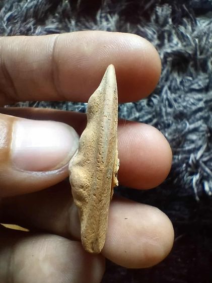 พระสรรนั่ง หลวงพ่อกวย วัดโฆสิตาราม ด้านหลังแปะจีวรหลวงพ่อ รูปที่ 5