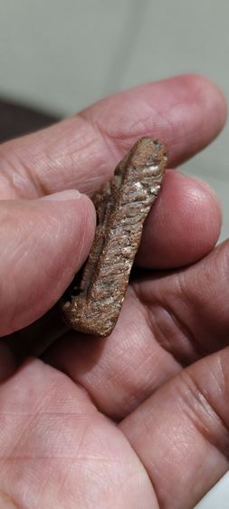 ดินเก่าโบราณ รูปที่ 6