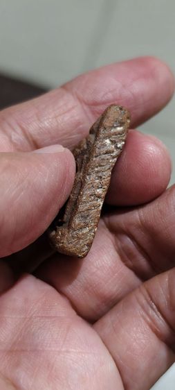 ดินเก่าโบราณ รูปที่ 7