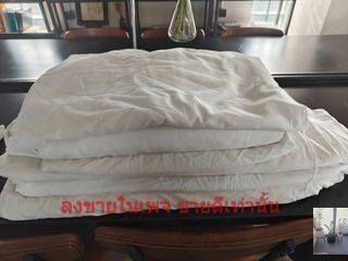 ประกาศขาย  ปลอกนวมใหญ่  ผ้าเช็ดตัว ผ้าเช็ดผม  หมอน ของโรงแรมมือสอง รูปที่ 4