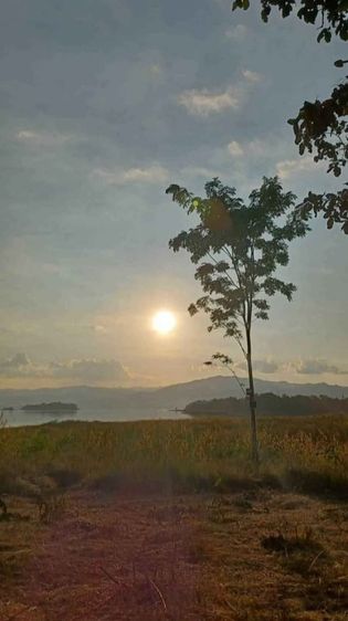 ขายที่ดิน 11 ไร่ (ภบท.5)พร้อมอาคาร 1 หลัง ติดเขื่อนริมน้ำ วิวสวยมาก อากาศดี อ.ศรีสวัสดิ์ กาญจนบุรี รูปที่ 4