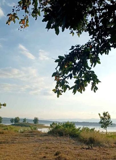 ขายที่ดิน 11 ไร่ (ภบท.5)พร้อมอาคาร 1 หลัง ติดเขื่อนริมน้ำ วิวสวยมาก อากาศดี อ.ศรีสวัสดิ์ กาญจนบุรี รูปที่ 3