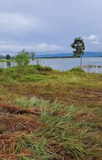 ขายที่ดิน 11 ไร่ (ภบท.5)พร้อมอาคาร 1 หลัง ติดเขื่อนริมน้ำ วิวสวยมาก อากาศดี อ.ศรีสวัสดิ์ กาญจนบุรี