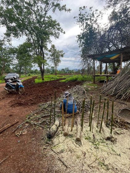 ขายที่ดิน 28 ไร่(ภบท.5)เหมาะทำการเกษตร วิวภูเขา  การเดินทางสะดวก อ.ศรีสวัสดิ์ กาญจนบุรี รูปที่ 4