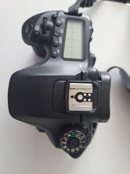 Canon EOS 80D Body Only รูปที่ 4