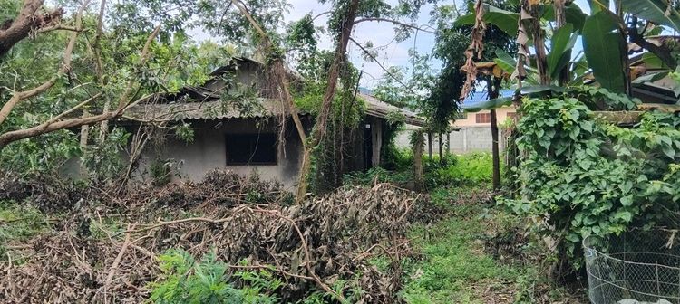 ขาย ที่ดิน (มีบ้านเดิมตั้งอยู่) รูปที่ 2