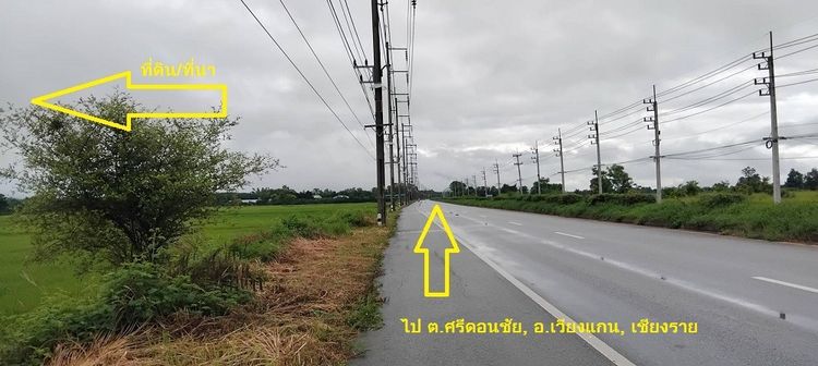 ขาย ที่ดิน ที่นา ทุ่งสามหมอน (ราคาต่อไร่) รูปที่ 3
