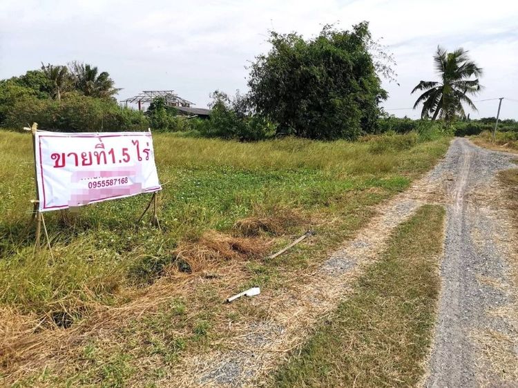 ขายที่ดินท่าไข่ 4 ไร่ 2 งาน จ.ฉะเชิงเทรา ที่ดินเพื่อการลงทุน ที่ดินเผื่อการเกษตร เจ้าของขายเอง รูปที่ 3