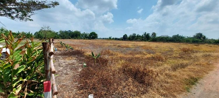 ขายที่ดินท่าไข่ 4 ไร่ 2 งาน จ.ฉะเชิงเทรา ที่ดินเพื่อการลงทุน ที่ดินเผื่อการเกษตร เจ้าของขายเอง รูปที่ 2