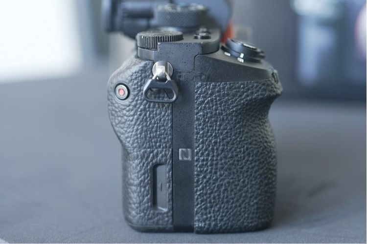 Sony A7Sii  รูปที่ 6