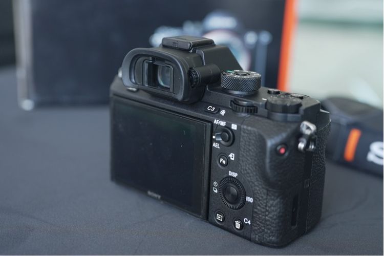 Sony A7Sii  รูปที่ 9