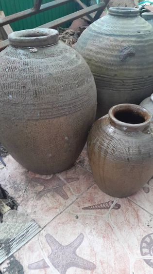 ไหโบราณ9ใบ1700 นัดส่งแถวบางใหญ่ รูปที่ 5